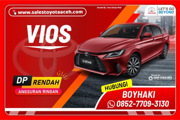All New Vios