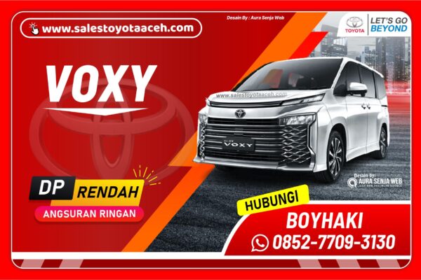 Voxy